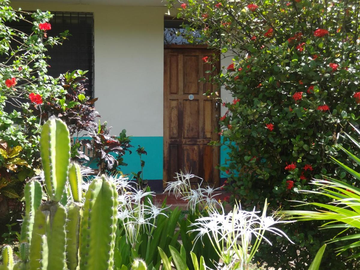 Hostal Harvest House León Екстериор снимка